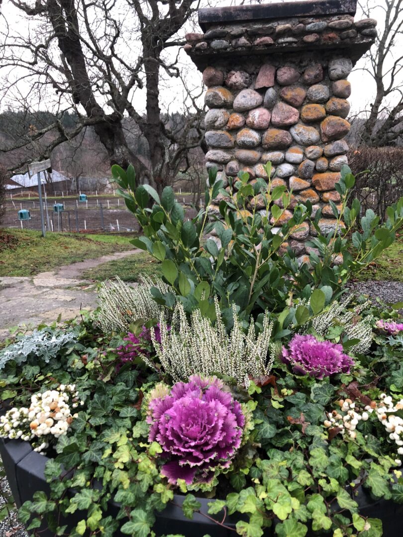 Blommor vid en mur