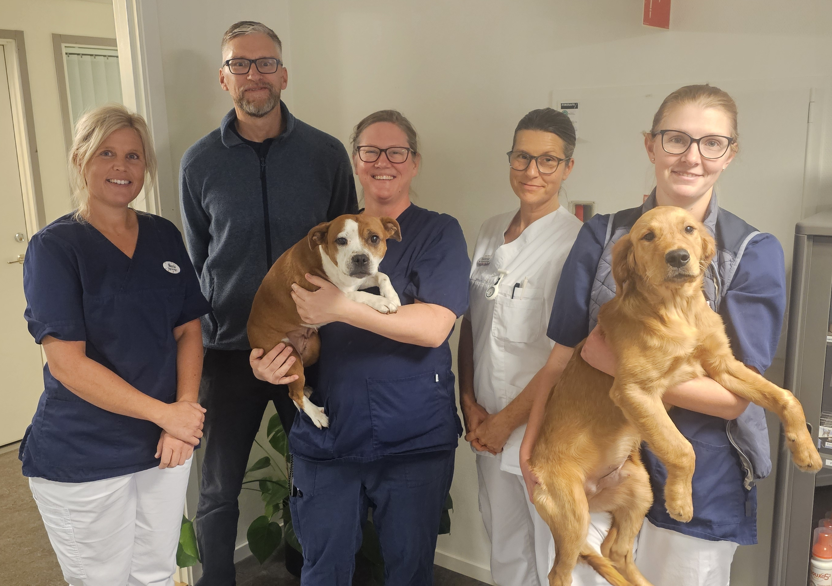 Hundochkattkliniken i linköpng
