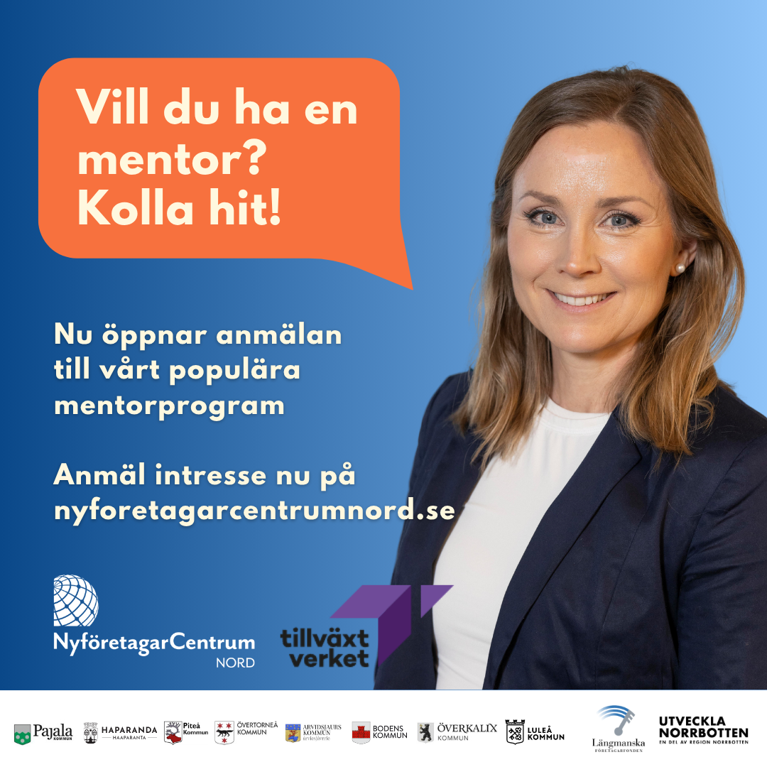 Mentorprogram