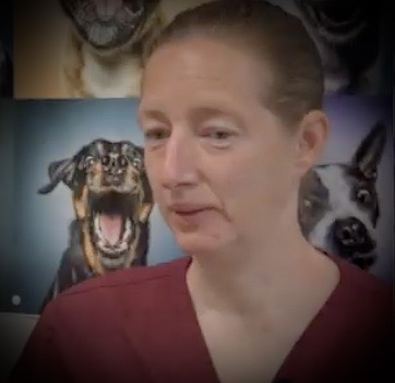 Andrea Veterinär Kämpaslätten