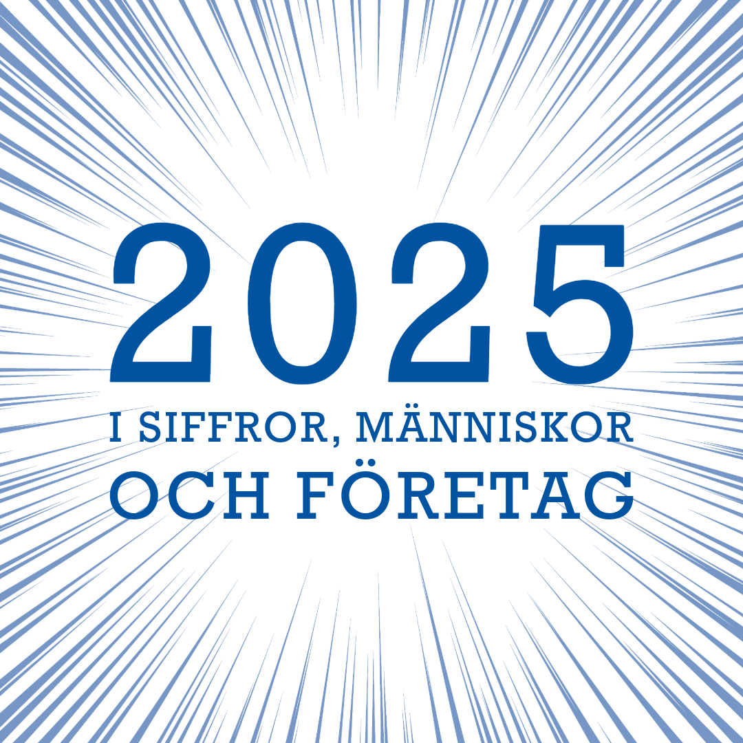 2025 i siffror, människor och resultat